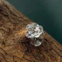 circlet_5272