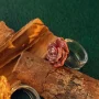 ring_5333