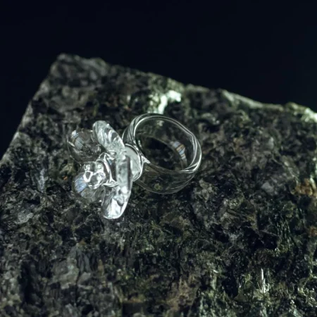 ring_5352 ring_5352
