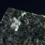 ring_5352