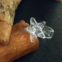 ring_5369