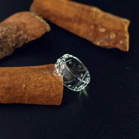 ring_5411 ring_5411