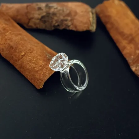 ring_5419 ring_5419